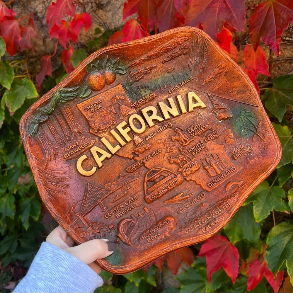 Vintage Mid Century ASMCO California Souvenir Tray or Wall Hanging Faux Wood